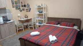Studio apartman nest